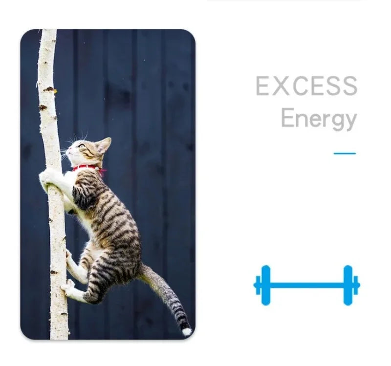 Interactive Cat Toy – Mini Electric Moving Bug Chase Toy