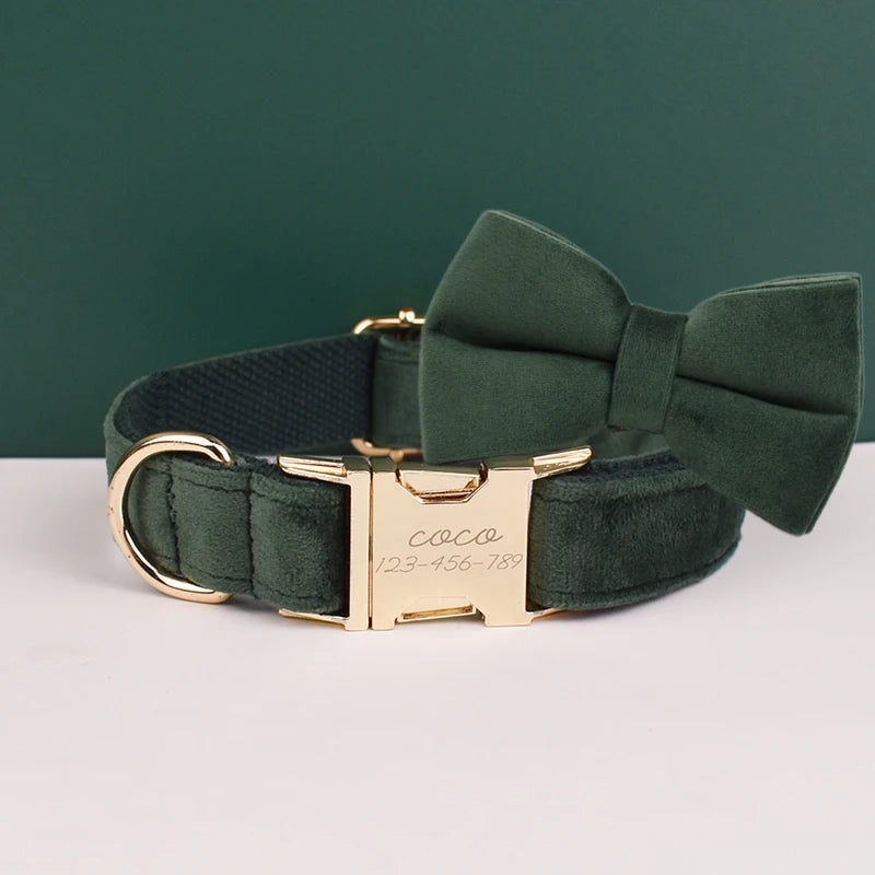 Dog Collar and Leash Set, Adjustable Velvet Collar with Gold Detail