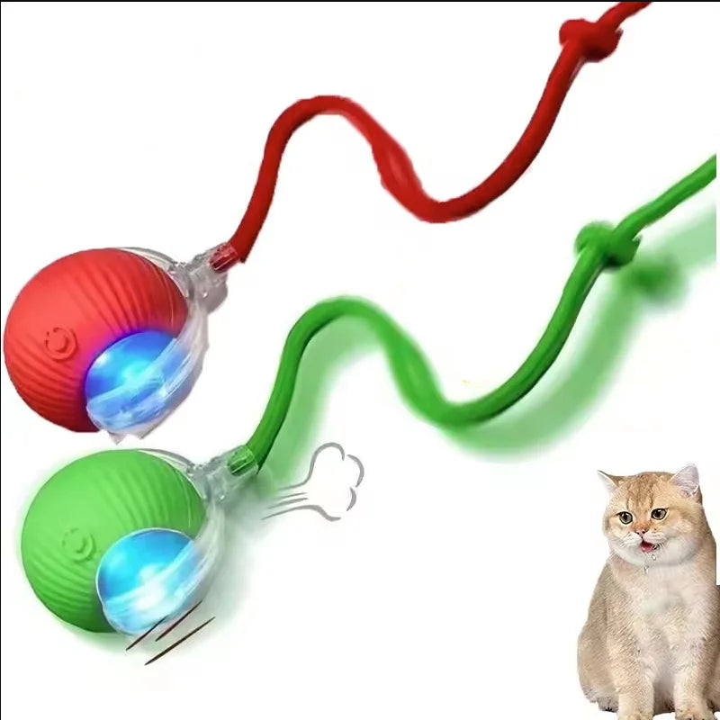 Interactive Cat Ball Toy – Rechargeable Automatic Rolling Toy