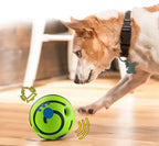 Interactive Dog Ball – Rolling Giggle Sound Toy