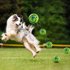 Interactive Dog Ball – Rolling Giggle Sound Toy