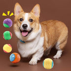 Dog Chew Ball Silicone Squeaky Teeth Cleaning Toy