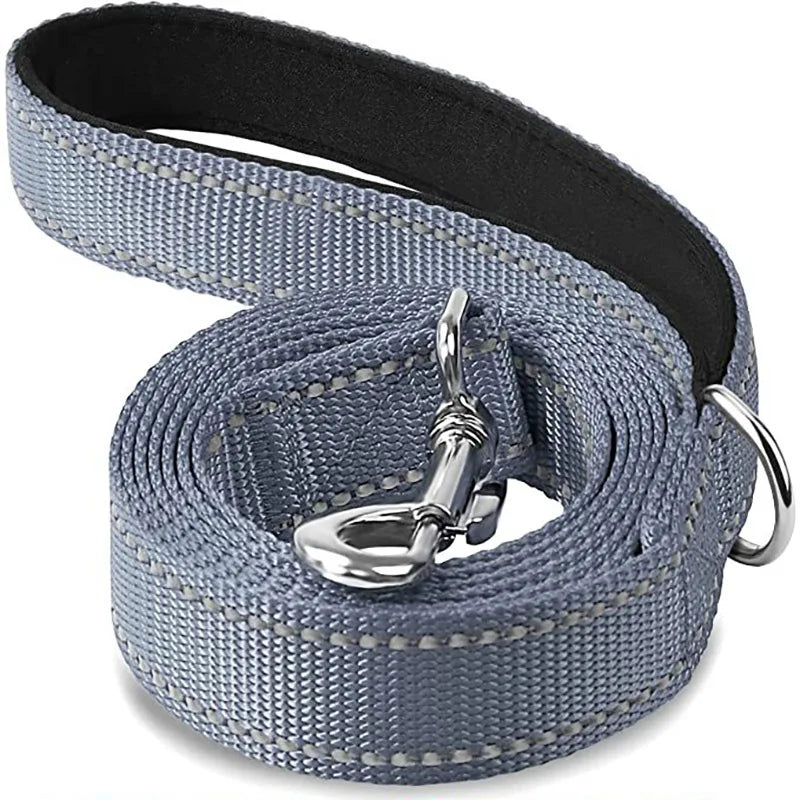 Reflective Dog Leash – Nylon Night Walking & Training Lead