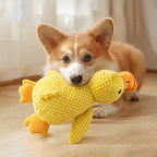 Plush Dog Toy – Squeaky Interactive Chew Toy for Pets
