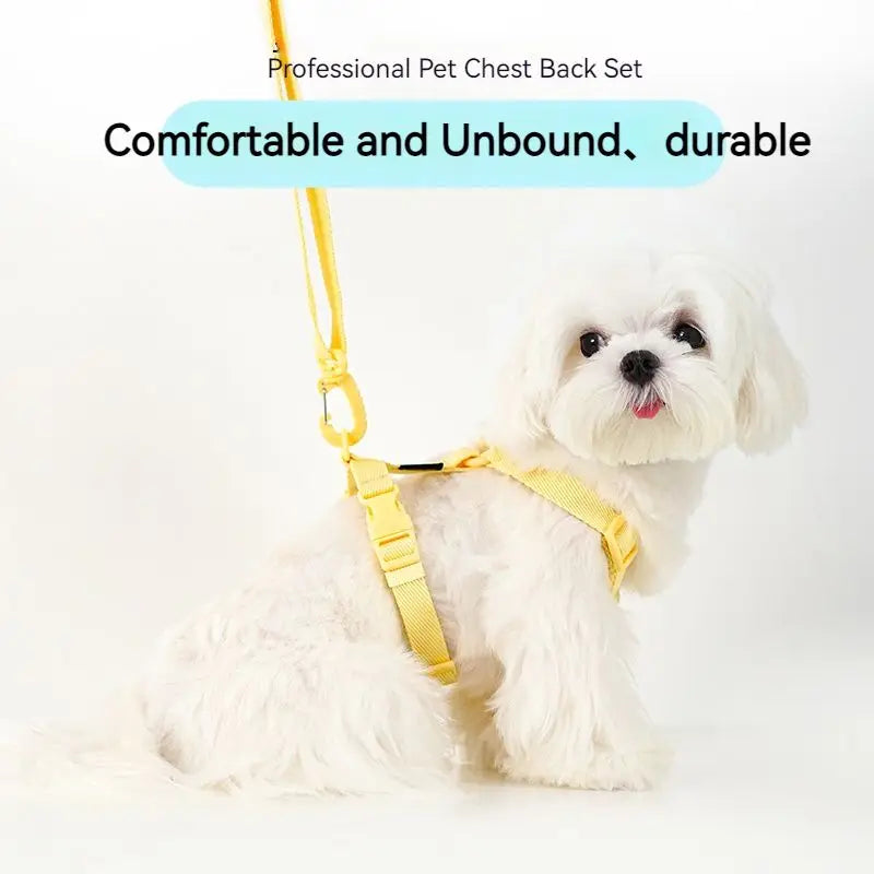 Dog Harness and Leash Set