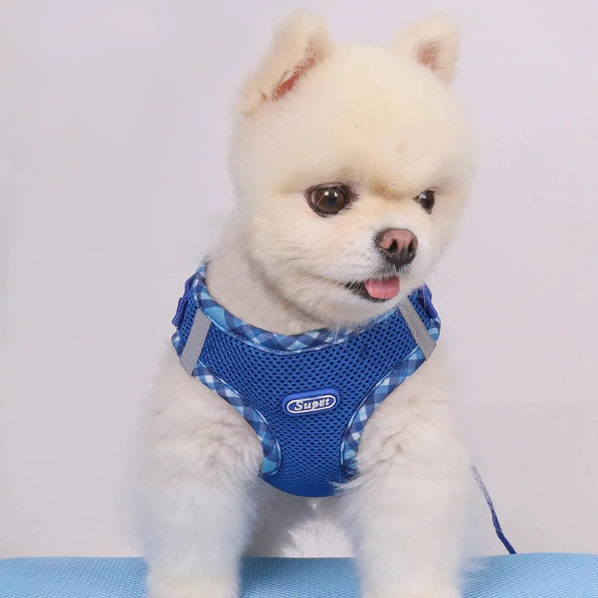 Dog Harness – Adjustable Anti-Pull Harness for Small & Medium Dogs