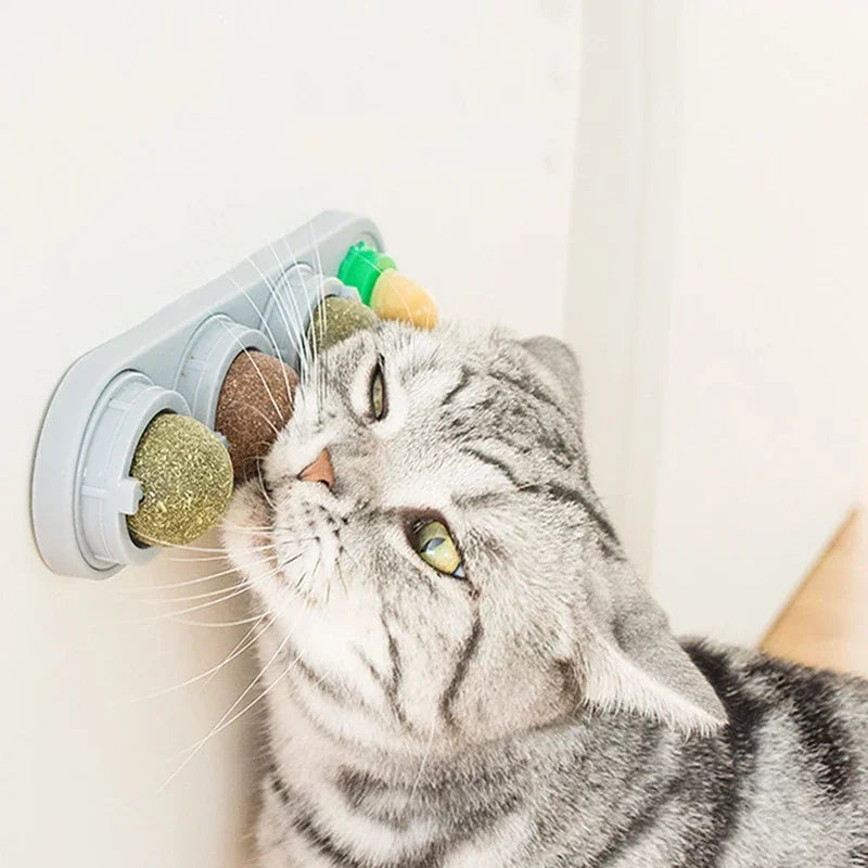 Catnip Wall Ball Toy – Rotating Interactive Cat Teeth Cleaning Toy