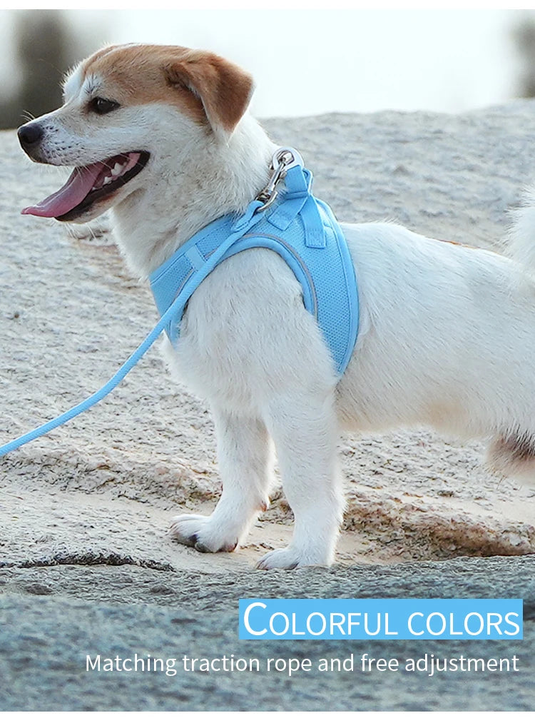 Dog Harness and Leash Set – Adjustable Reflective Puppy Harness