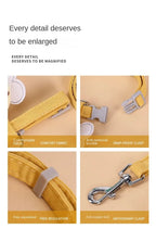 Cat Harness and Leash Set – Adjustable Bee Walking Vest