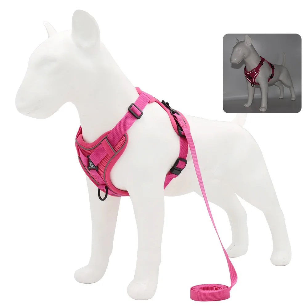 Small Dog Harness and Leash Set – Adjustable Vest