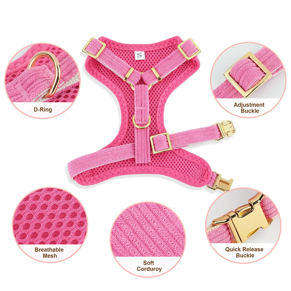 Dog Harness Leash Set, Soft Adjustable Harness & Collar for Small Dogs