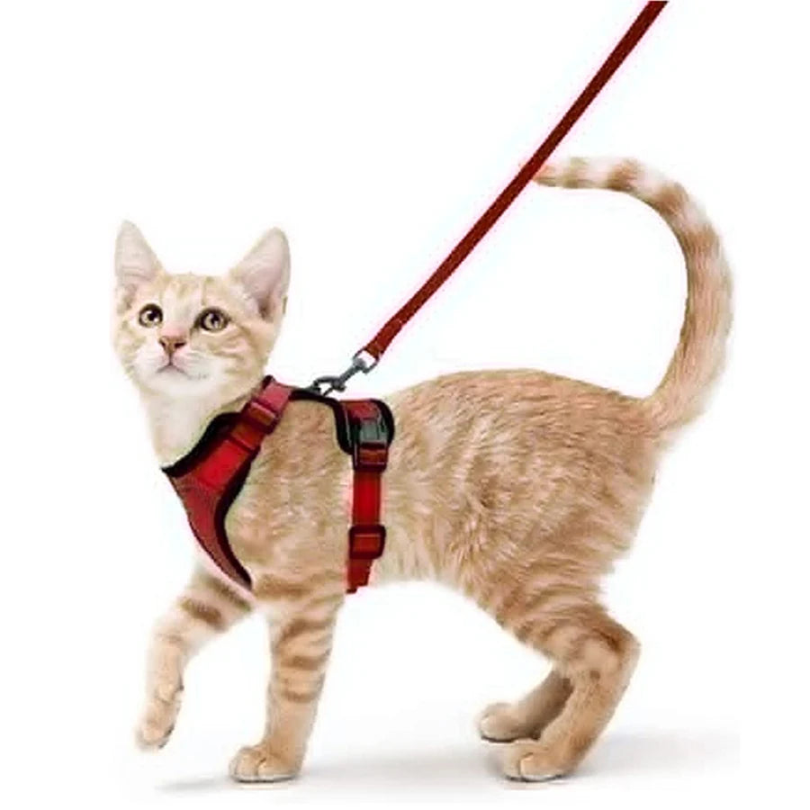 Cat Harness and Leash Set – Adjustable Vest for Walking