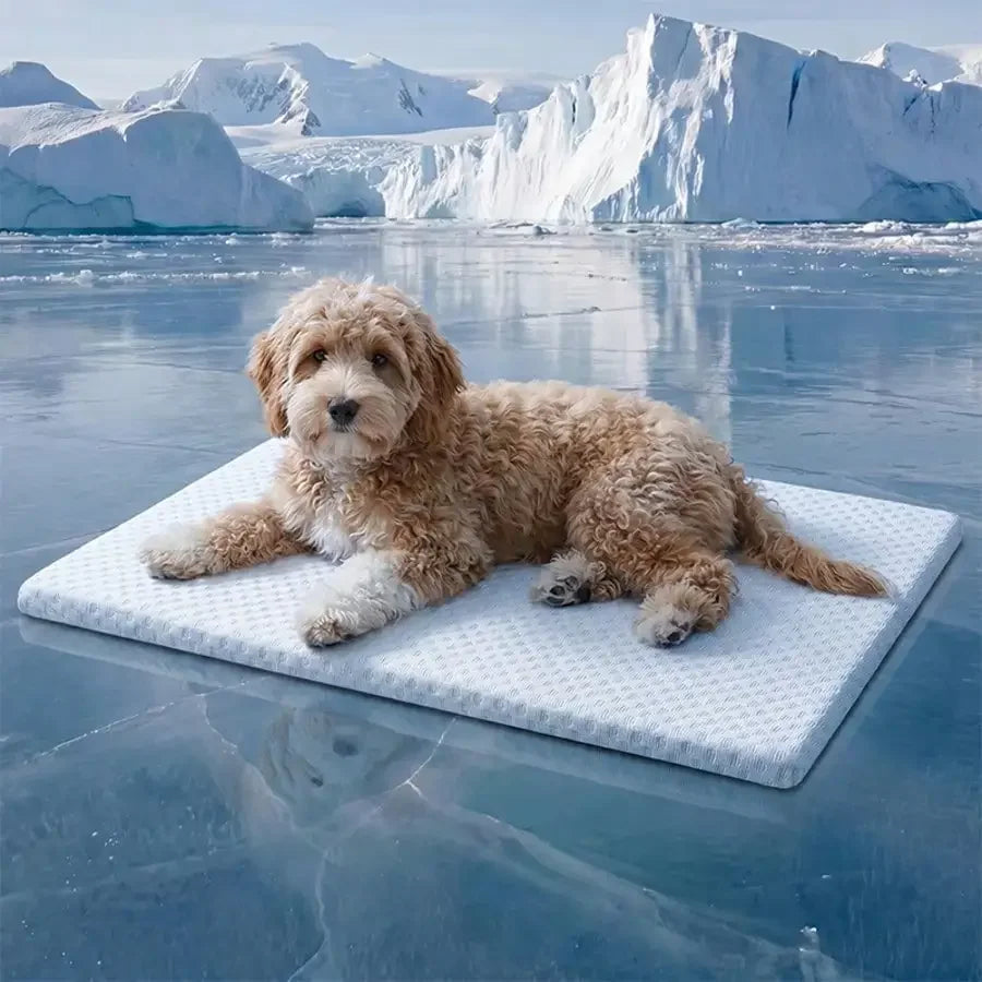 Cooling Cat Bed – Breathable Washable Padded Nest for Cats & Small Dogs