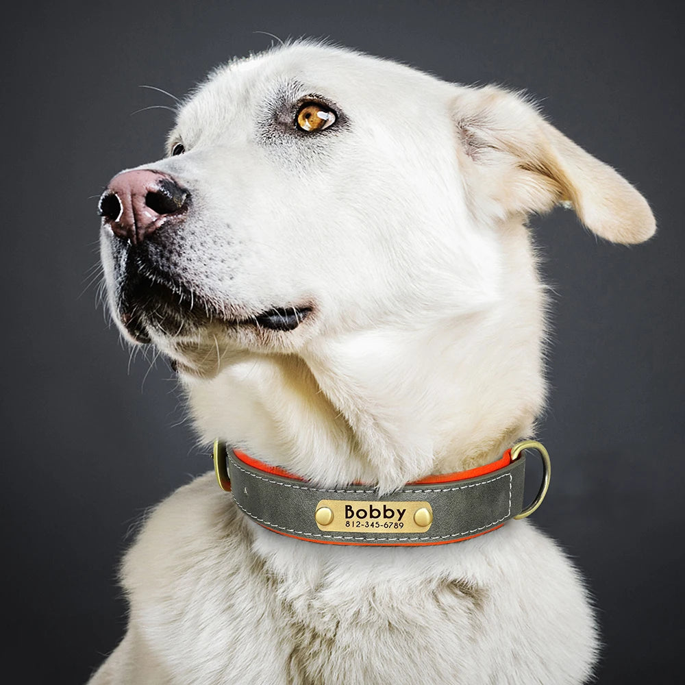 Personalized Dog Collar, Adjustable Padded PU Leather Collar