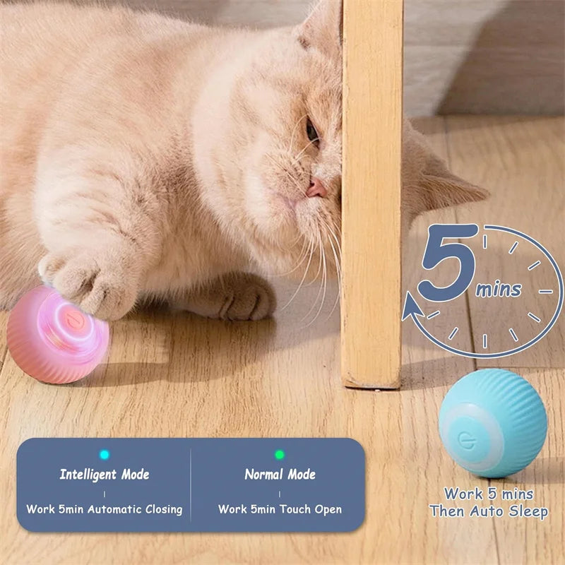 Interactive Dog Ball – USB Rechargeable Automatic Moving Toy