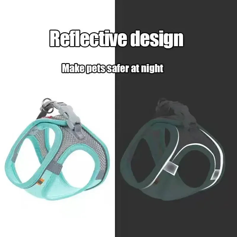A comfortable, adjustable harness with reflective detailing for everyday pet walks.