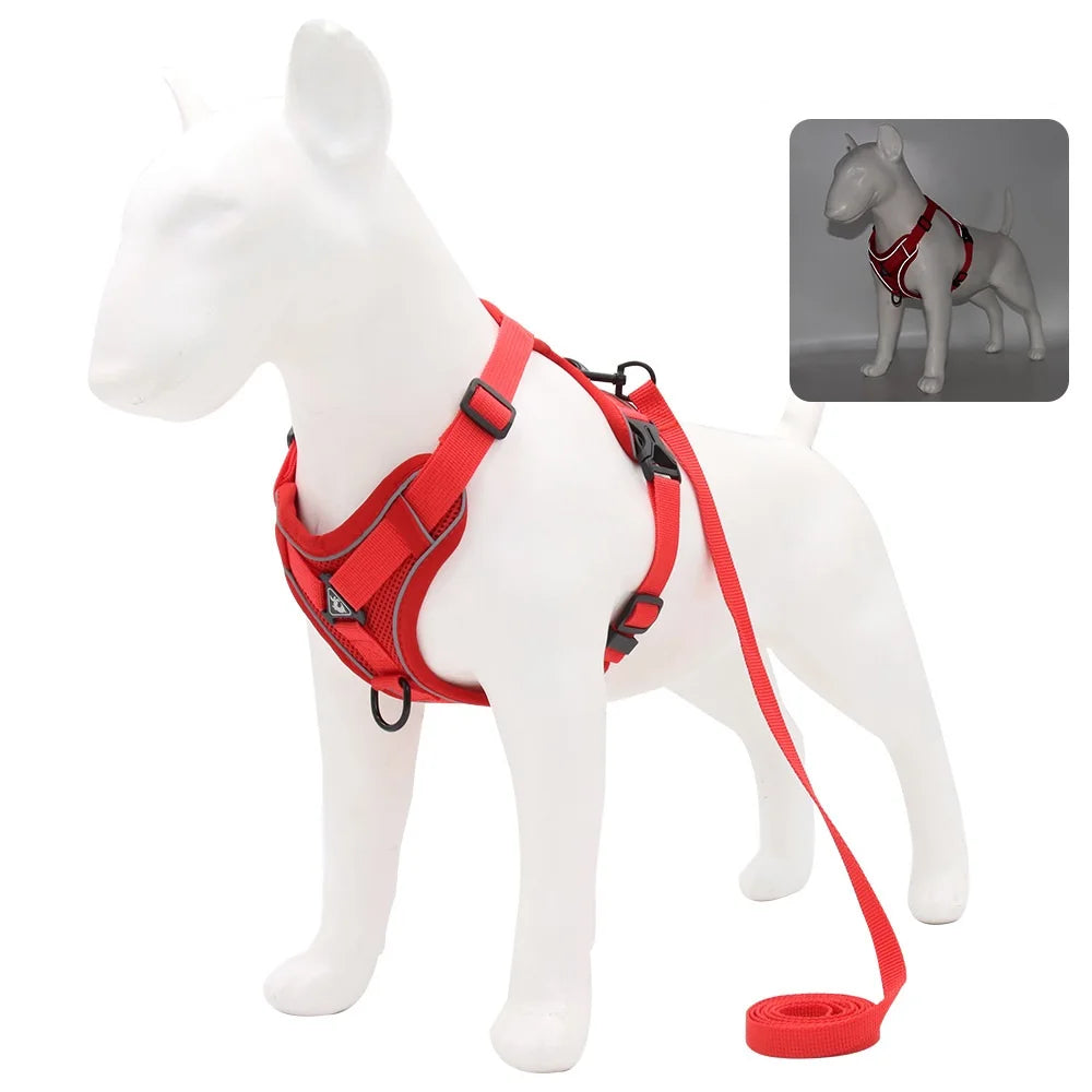Small Dog Harness and Leash Set – Adjustable Vest