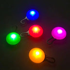 Rechargeable Dog Collar Light – LED Pet Safety Pendant