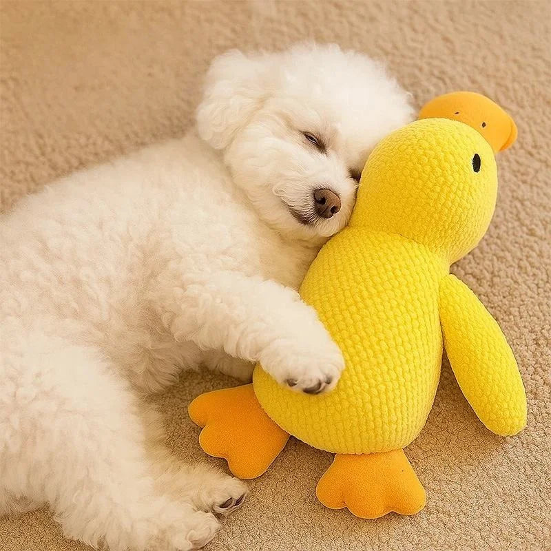 Squeaky Duck Dog Toy – Plush Sound Toy for Puppies & Dogs