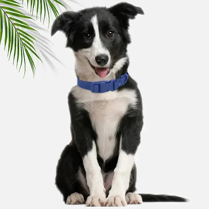 PVC Dog Collar Waterproof Adjustable Breakaway Easy Clean
