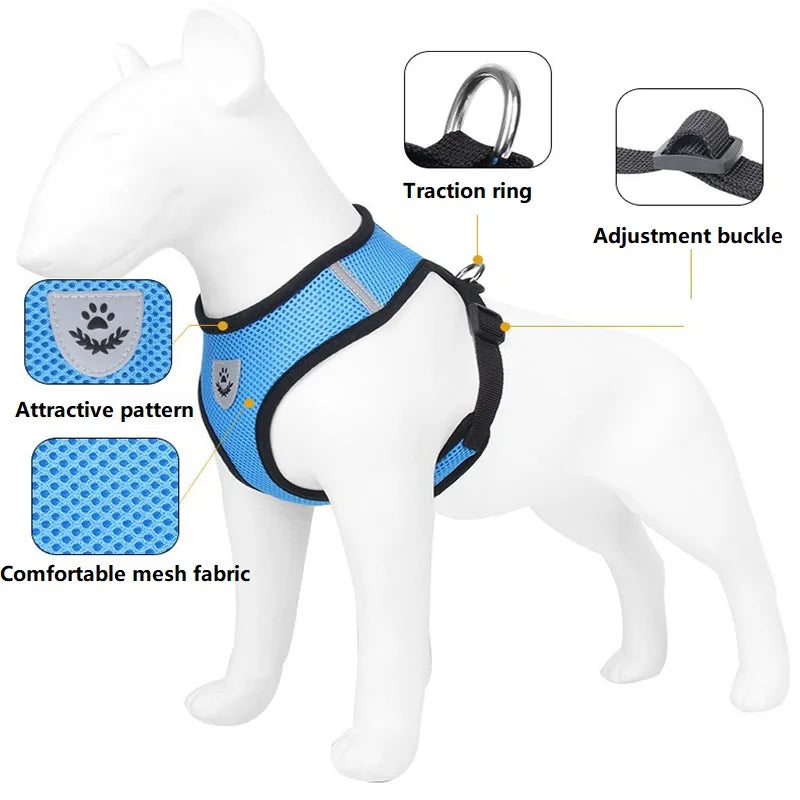 Cat Harness and Leash – Reflective Quick Release Walking Set