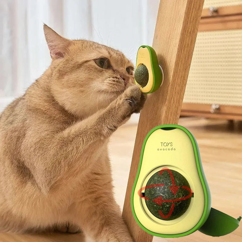 Catnip Ball Cat Toy – Teeth Cleaning & Interactive Dental Toy