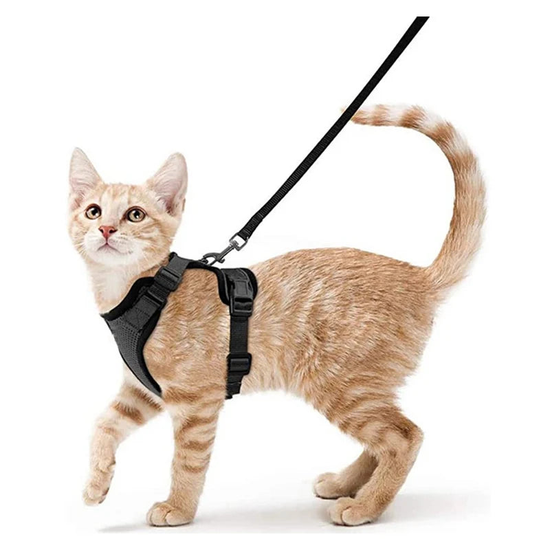 Cat Harness and Leash Set – Adjustable Vest for Walking