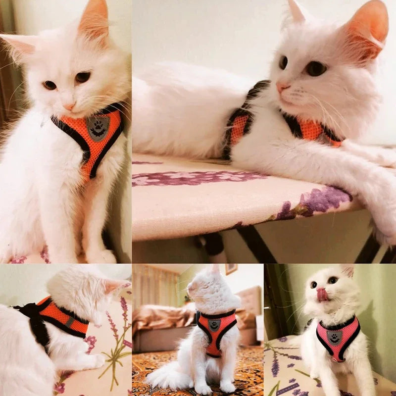 Puppy Harness, Soft Reflective Adjustable Harness with Leash