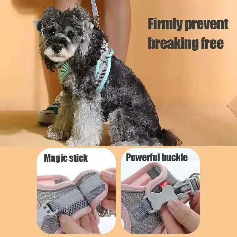 A comfortable, adjustable harness with reflective detailing for everyday pet walks.