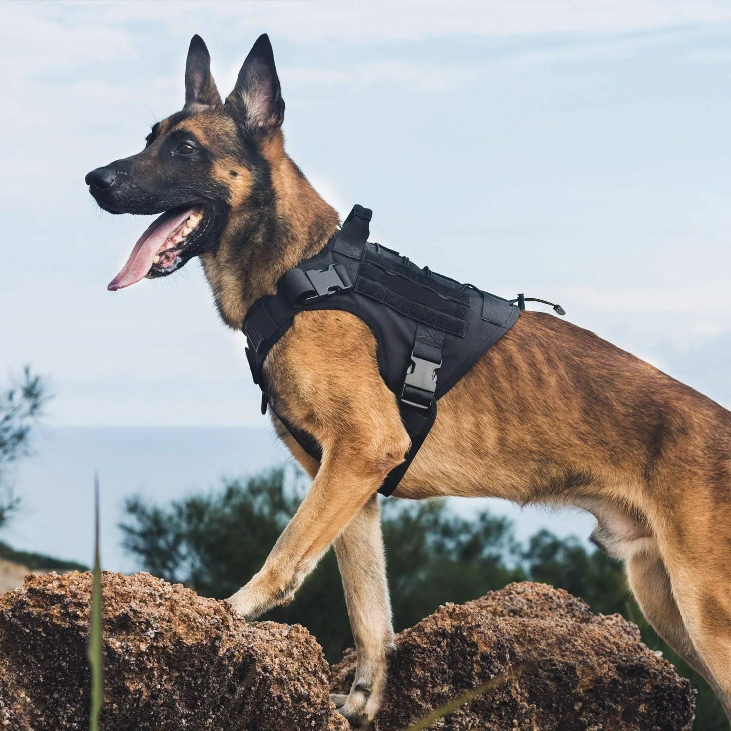Tactical Dog Harness – Adjustable Vest with Control Handle