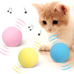 Interactive Cat Toy Ball, Catnip Squeaky Toy with Animal Sounds