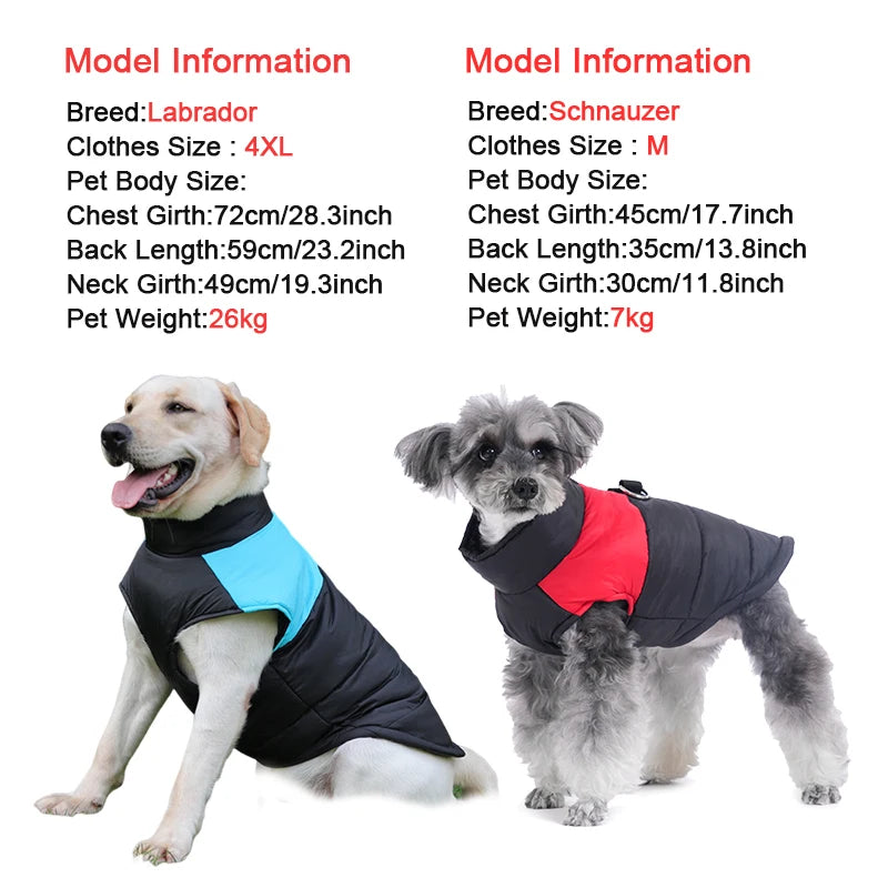 Winter Dog Coat – Waterproof Warm Jacket for Small to Large Dogs