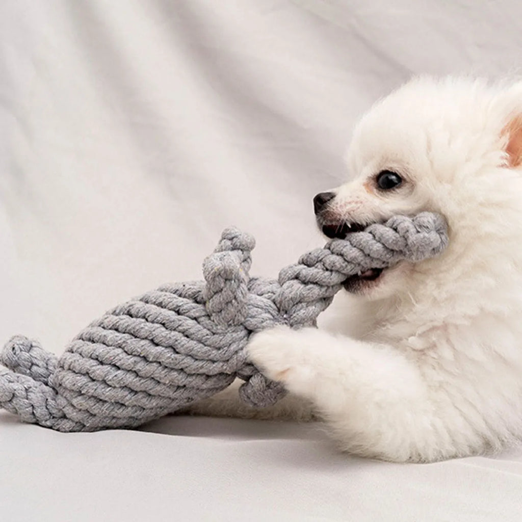 Rope Dog Toy – Knotted Cotton Chew Toy for Small & Medium Dogs