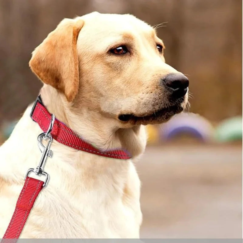 Reflective Dog Collar, Adjustable Nylon Safety Collar for Small & Medium Dogs
