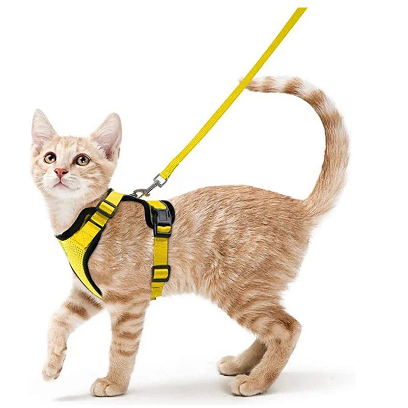 Cat Harness and Leash Set – Adjustable Vest for Walking