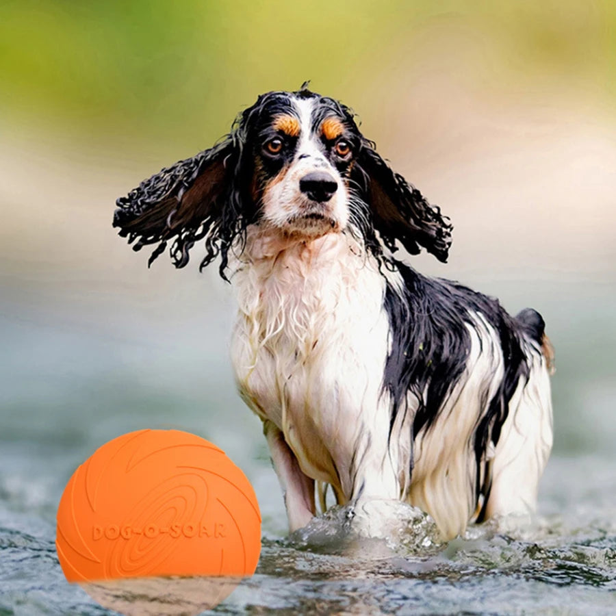 Flying Disc Dog Toy – TPR Rubber Fetch & Outdoor Training Toy