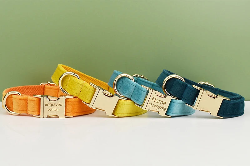 Dog Collar and Leash Set, Adjustable Velvet Collar with Gold Detail