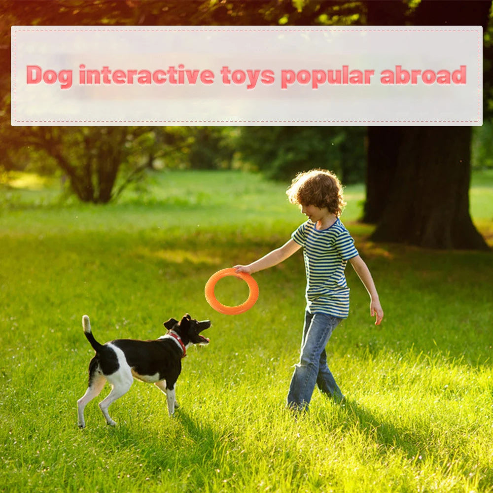 Flying Disc Dog Toy – EVA Interactive Training Ring