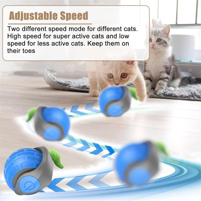 Automatic Interactive Cat Toy Ball – USB Rechargeable Rolling Toy