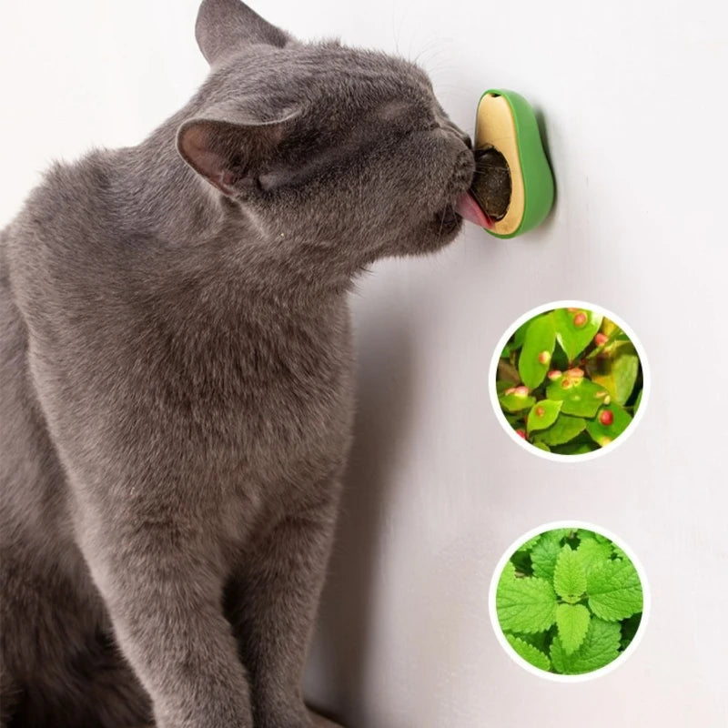 Catnip Ball Cat Toy – Teeth Cleaning & Interactive Dental Toy