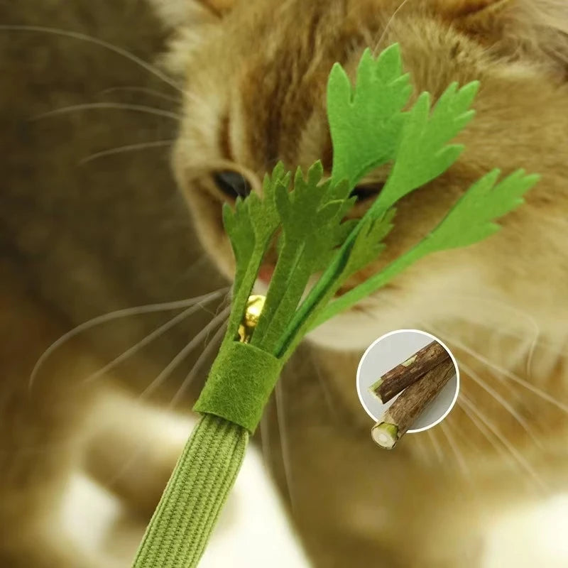 Catnip Chew Toy – Cat Dental Molar Stick with Squeaky Design