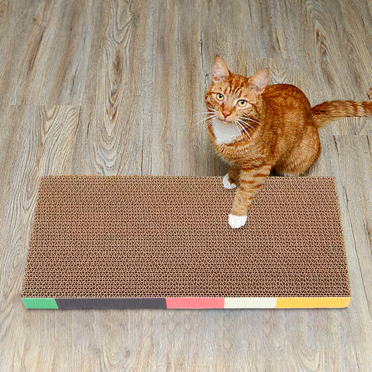 Cardboard Cat Scratcher – Lounge Bed & Scratching Pad for Cats
