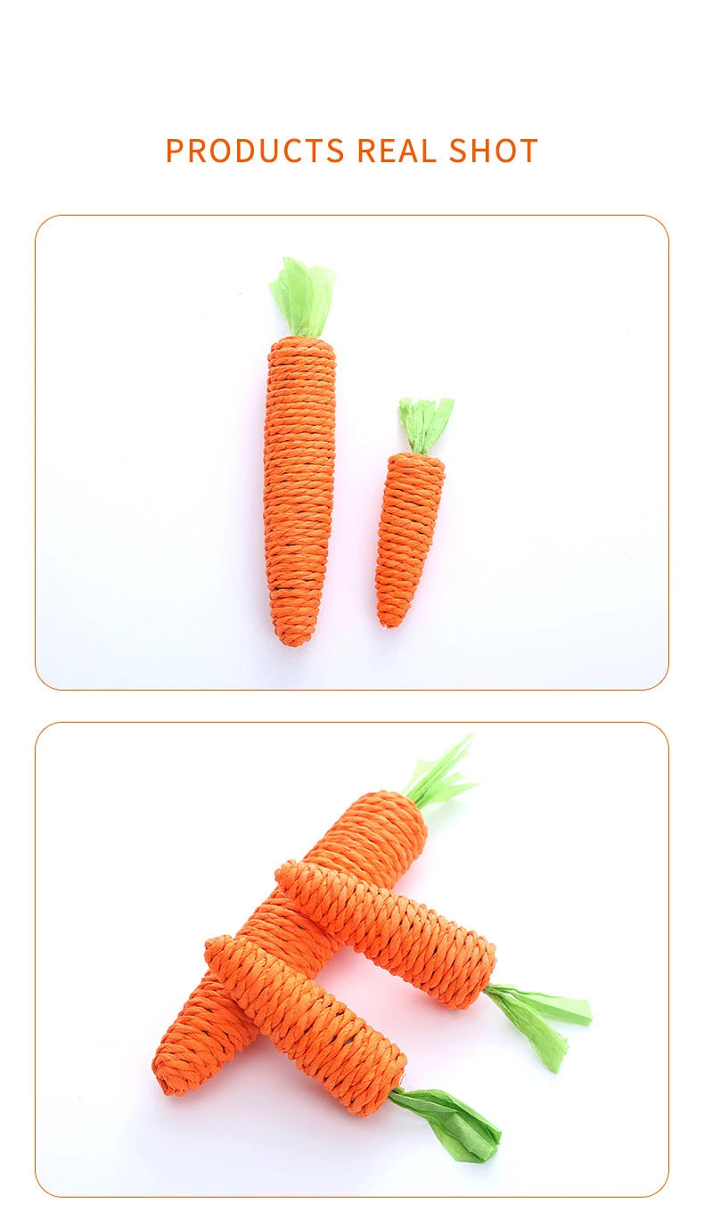 Cat Chew Toy – Carrot Interactive Dental & Scratcher Toy