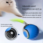 Interactive Cat Toy Ball, Catnip Squeaky Toy with Animal Sounds