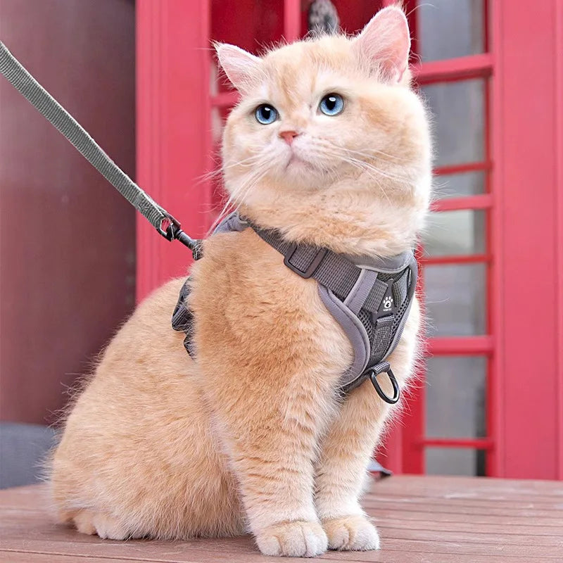 Cat Harness and Leash – Anti-Escape Reflective Kitten Harness