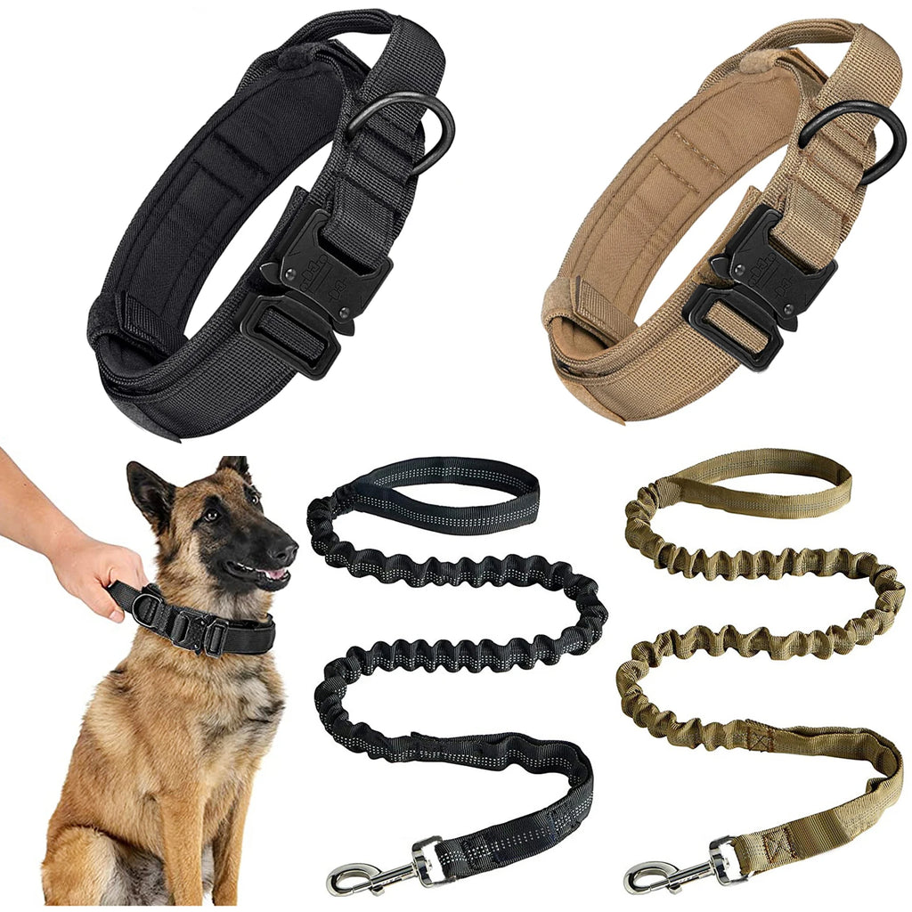 Dog Collar and Leash Set