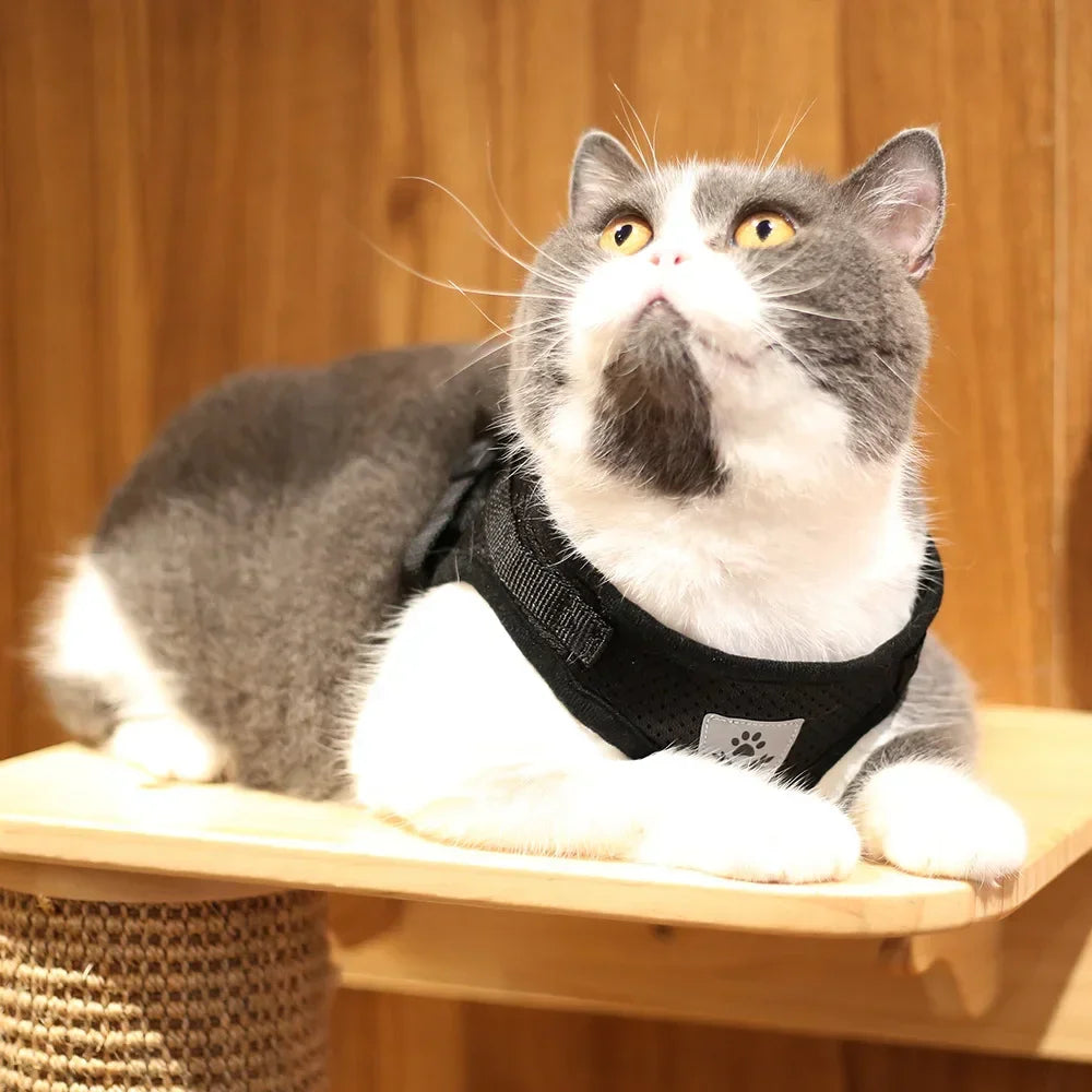Cat Harness and Leash Set – Adjustable Reflective Mesh Vest