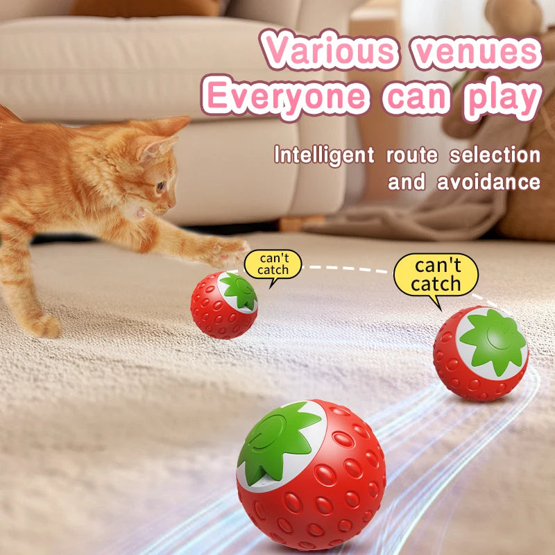 Automatic Interactive Cat Toy Ball – USB Rechargeable Rolling Toy