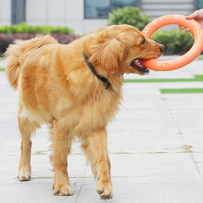 Flying Disc Dog Toy – EVA Interactive Training Ring