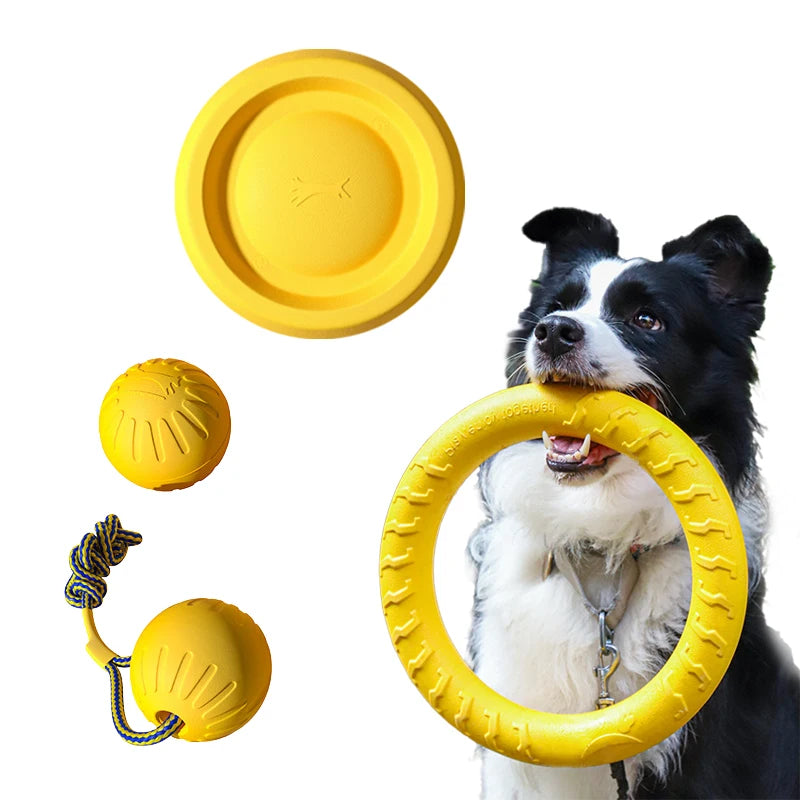 Interactive Dog Toys 4 Pack